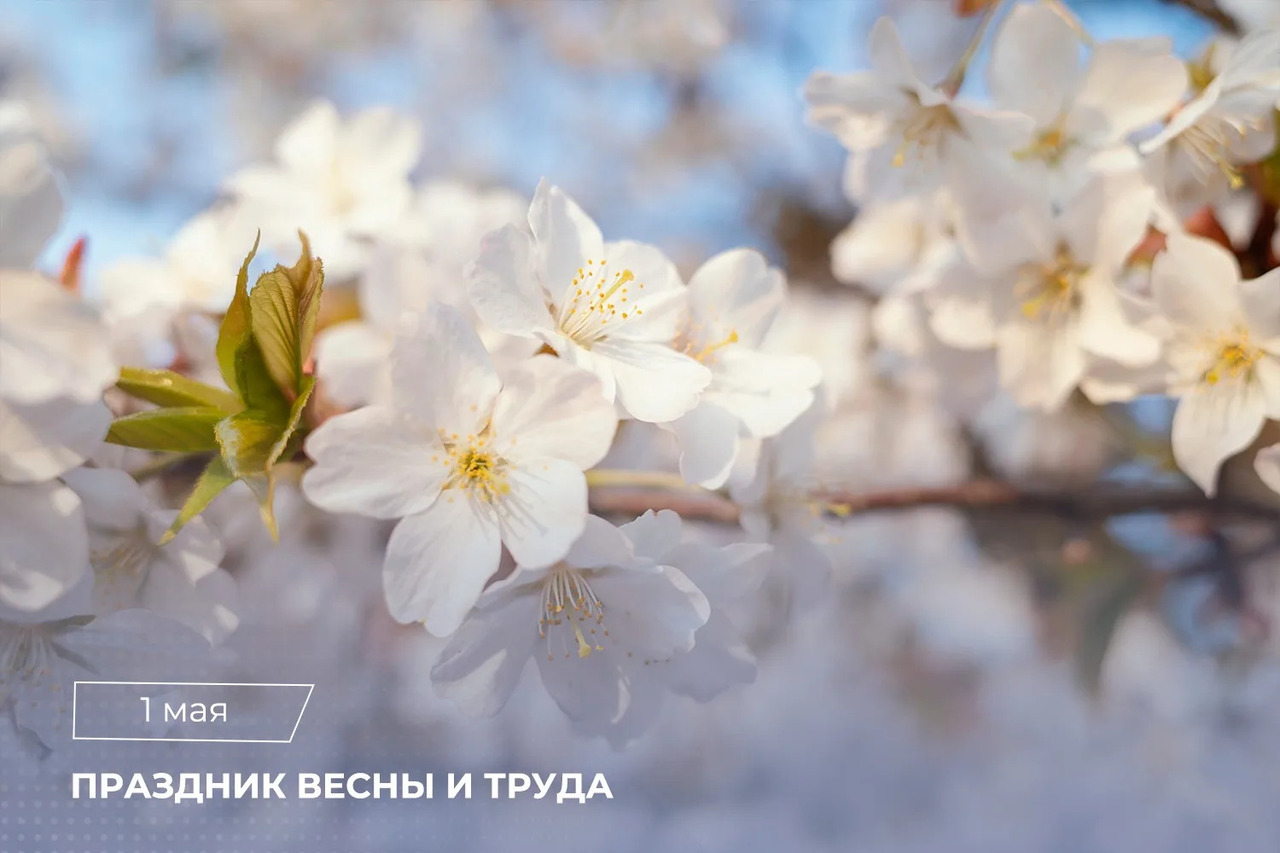 Поздравление Председателя СК России А.И. Бастрыкина с Праздником Весны и Труда